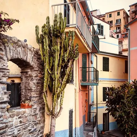 Alberta Rooms Manarola Exterior photo